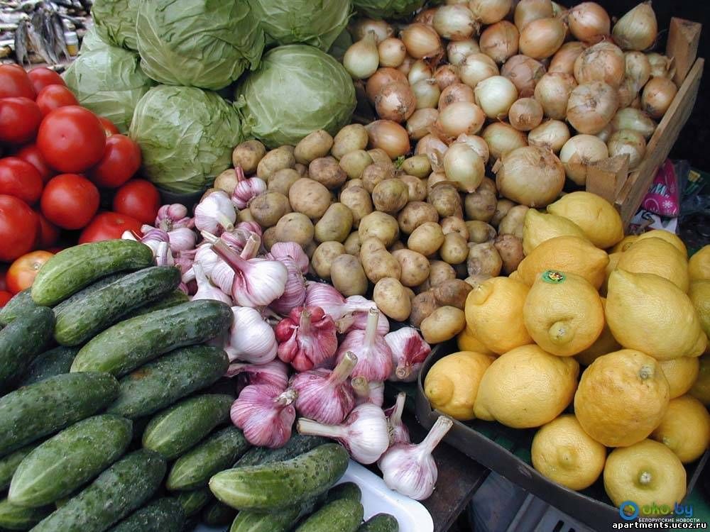 продажа овощей оптом в украине
